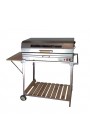 COMBO INOX PARRIWATT 800+CARRO *CARRO -50%*